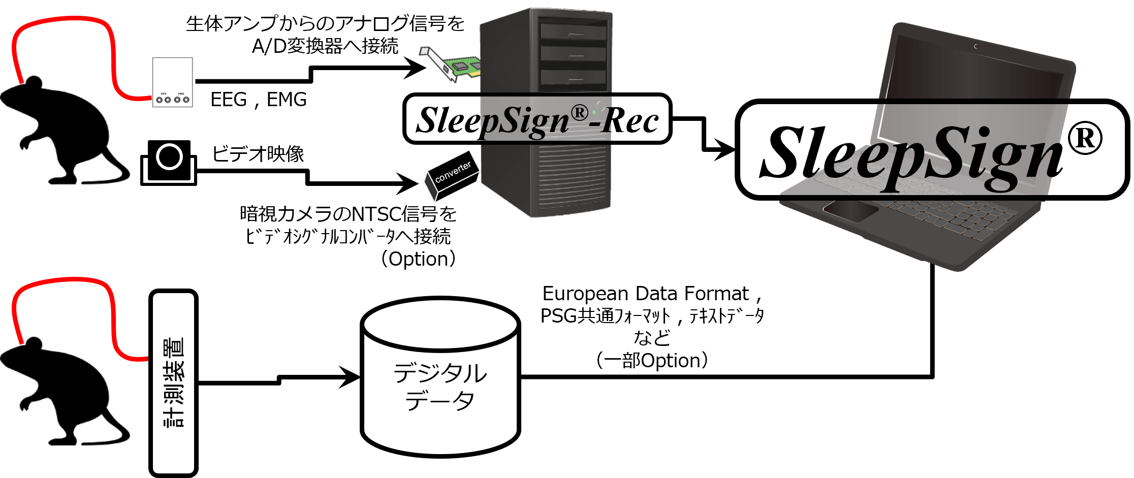 SS-Screen